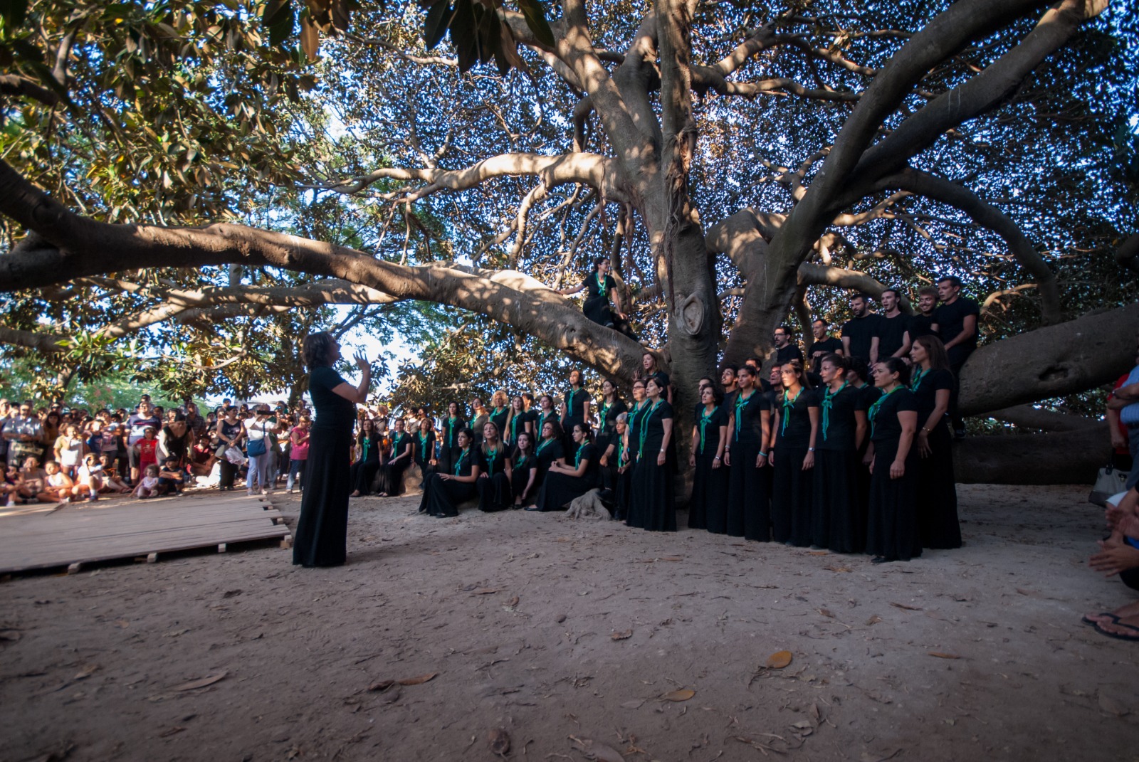 Coro Studium Canticum