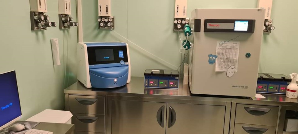 Oggi a Bari un convegno su oncofertilità e trapianto d’utero