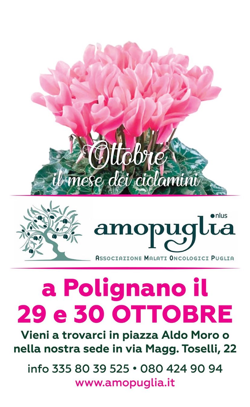 fd51a9df-2d7a-4e09-87e6-5ce1e198a828