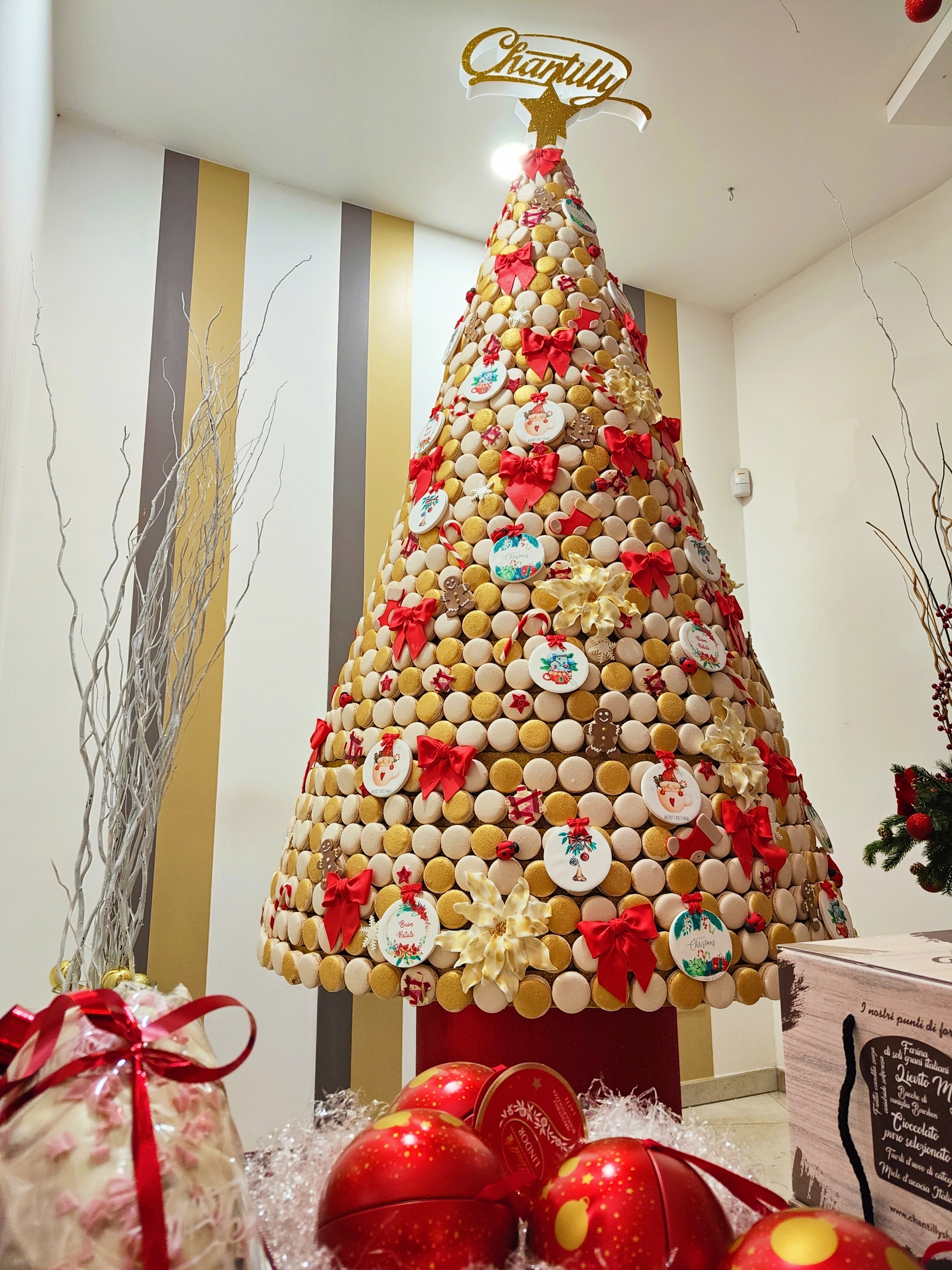 Castellana Grotte: Chantilly Pasticceria: un albero di Natale di 1500 macarons per il compleanno