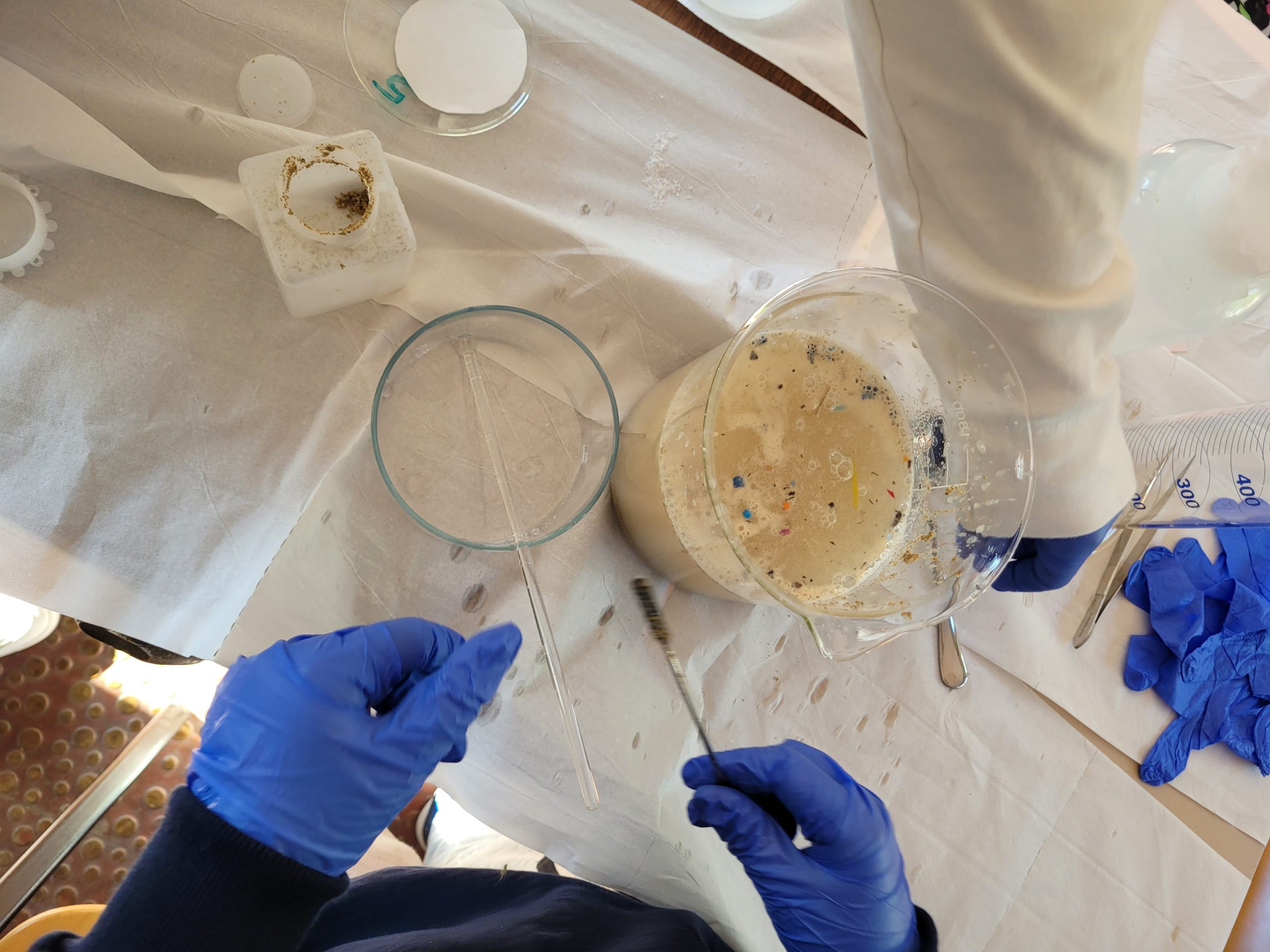 L’inquinamento da microplastiche spiaggiate, gli alunni della scuola media “G. Carducci” di Bari al Poliba