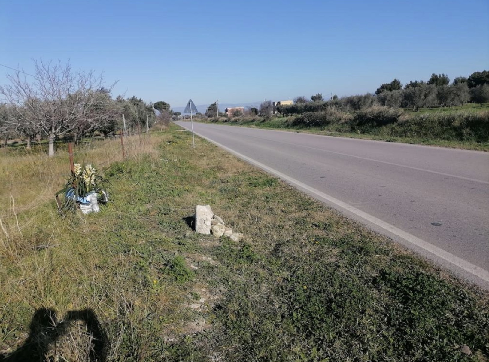 Foggia-Noicattaro (BA): I genitori del piccolo Oriel Skura, travolto e ucciso da un’auto il giorno di Natale, chiedono verità e giustizia