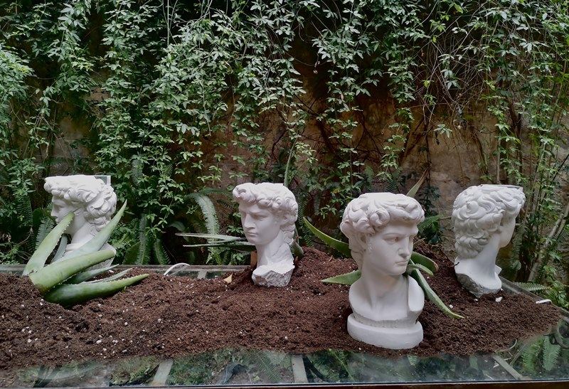 Bari: A Palazzo di Città l’installazione Work of Nature / Connections di Guillermina De Gennaro