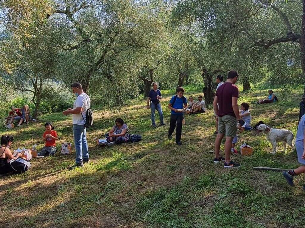 Al via la terza edizione della Merenda nell’Oliveta