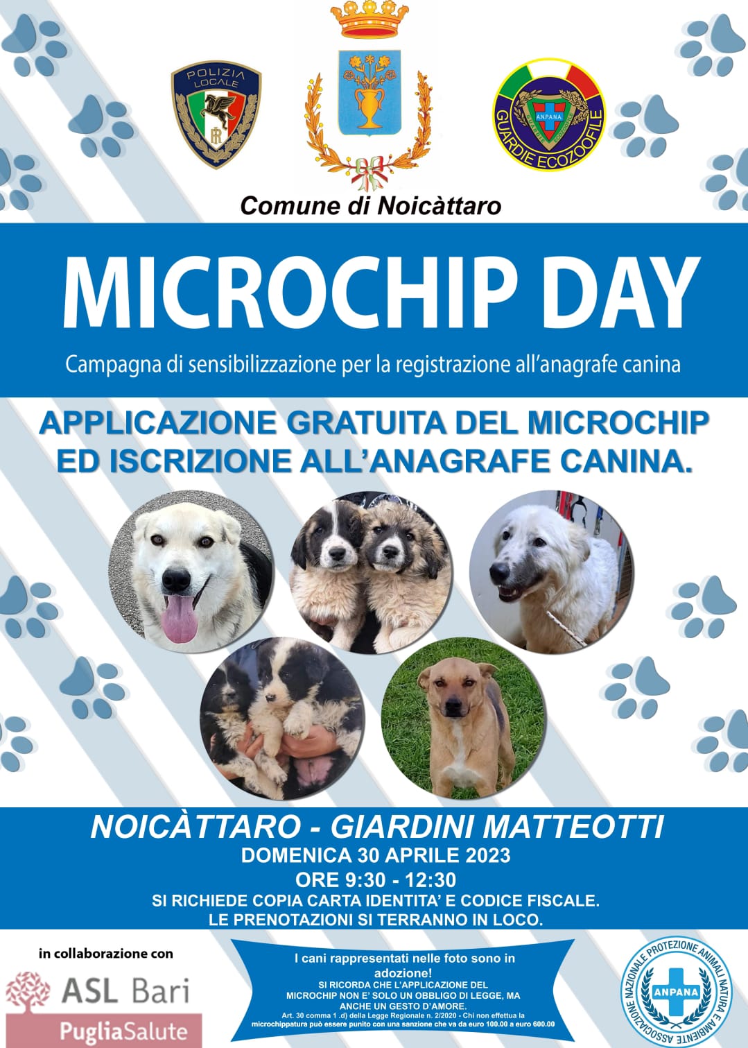 A Noicàttaro microchip day per cani e gatti