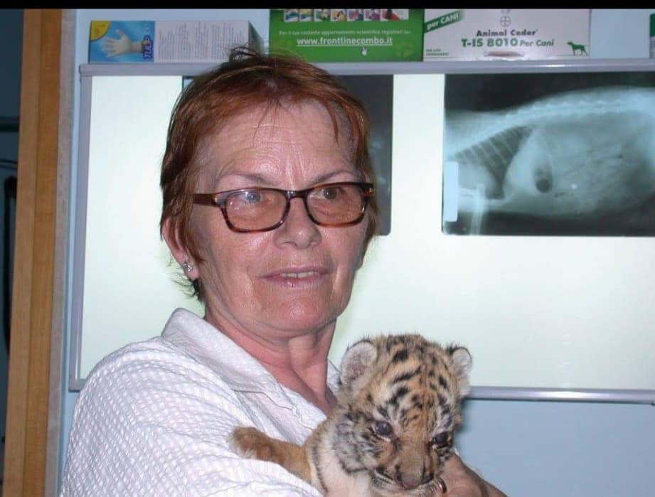 Monopoli, ecco chi è la 73enne morta per incidente