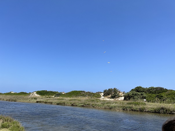 Concessioni sulle dune, nota di Italia Nostra