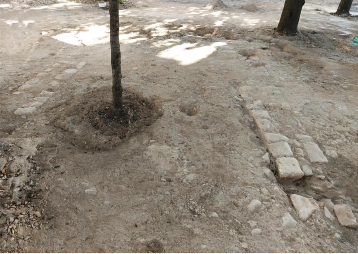 Nuova luce sull’antica Acquaviva delle Fonti