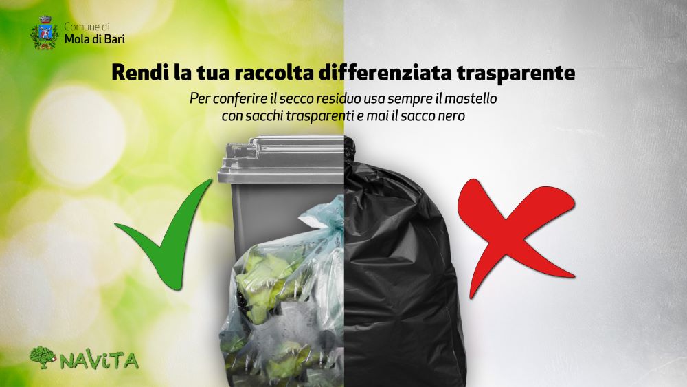 moladibari_navita_differenziata_trasparente