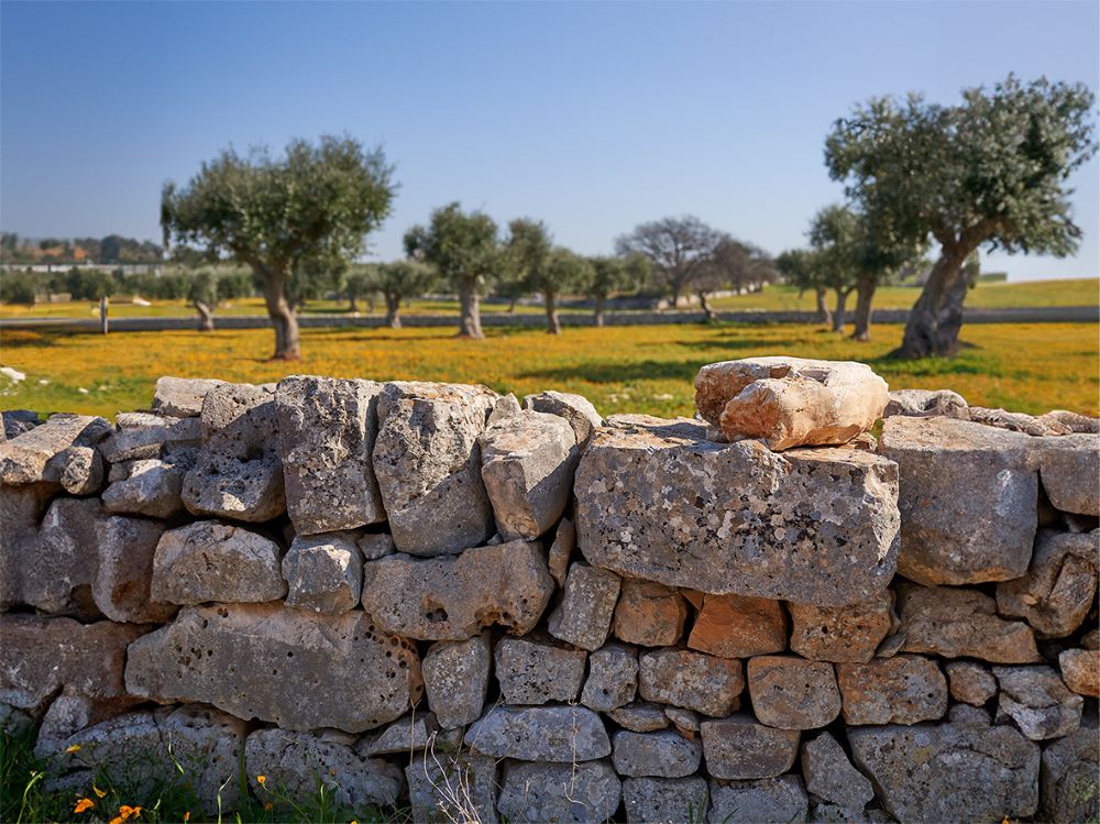 Conversano, Da Contrada Boschetto alle Mura delle Piscine del Conte: terza escursione del progetto PAR.E.TE.