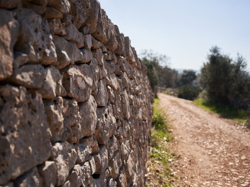 conversano_progetto_parete_cs_2