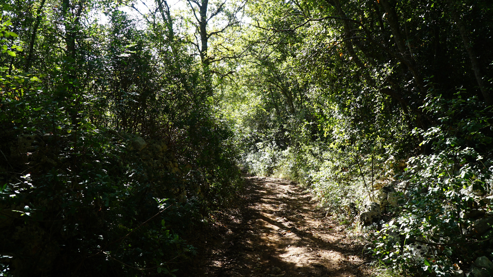 Monopoli, Legambiente dice No alla devastazione delle nostre strade rurali