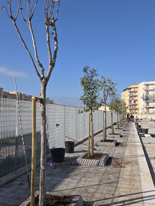 VELOSTAZIONE_13112025