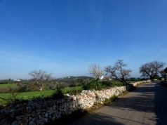 Un milione e mezzo per le strade rurali: Monopoli mette in sicurezza la sua campagna