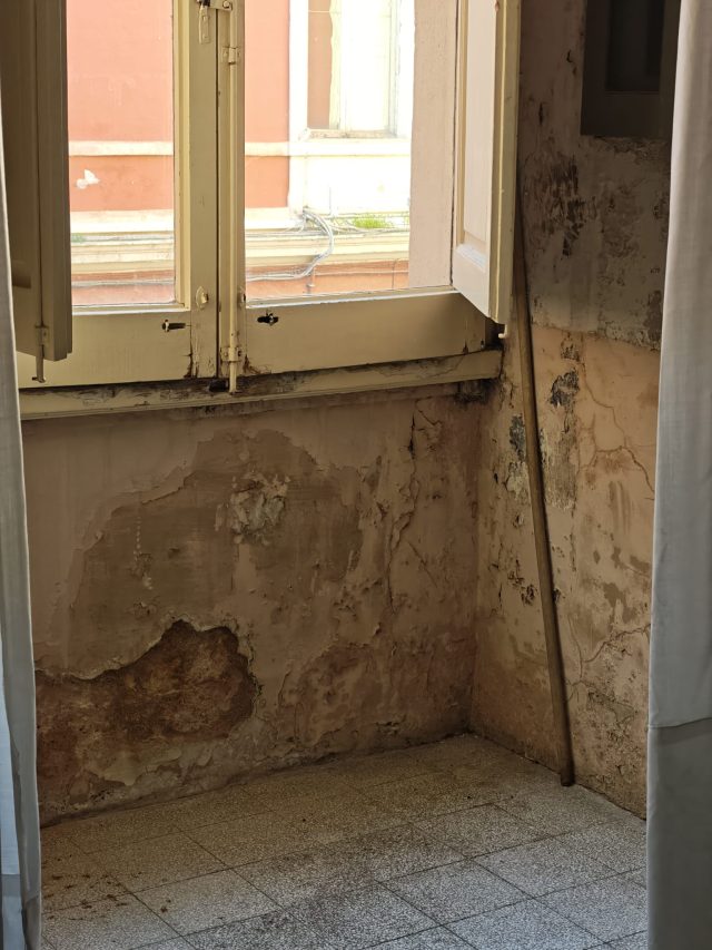 WhatsApp Image 2025-12-01 at 12.28.24-3